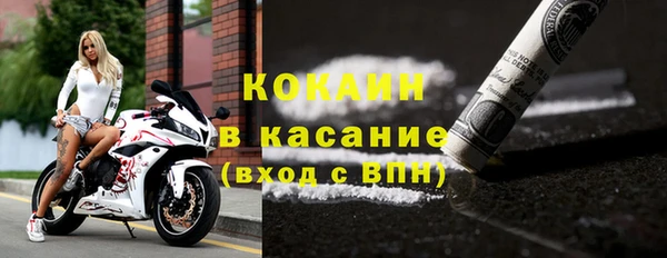 стафф Новозыбков