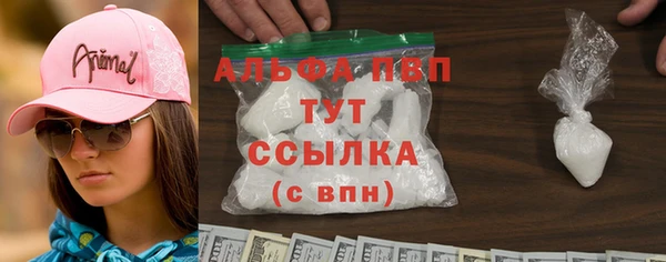 стафф Новозыбков