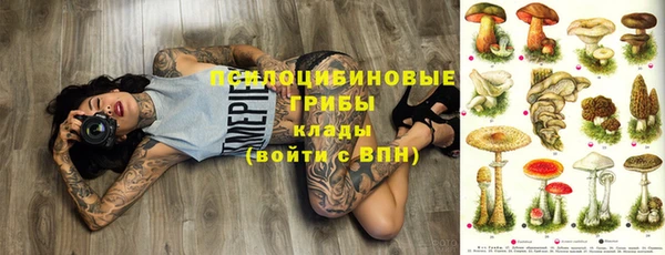 дурь Новокубанск