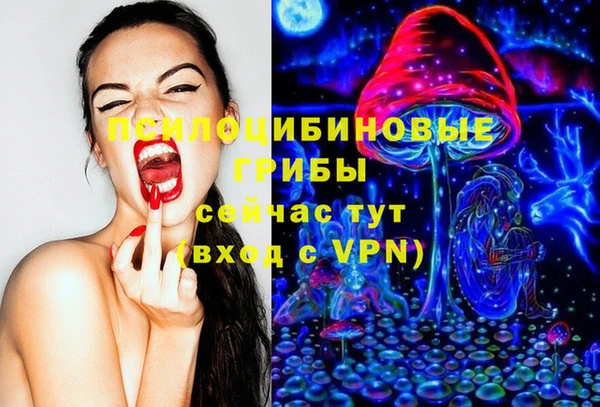 стафф Новозыбков