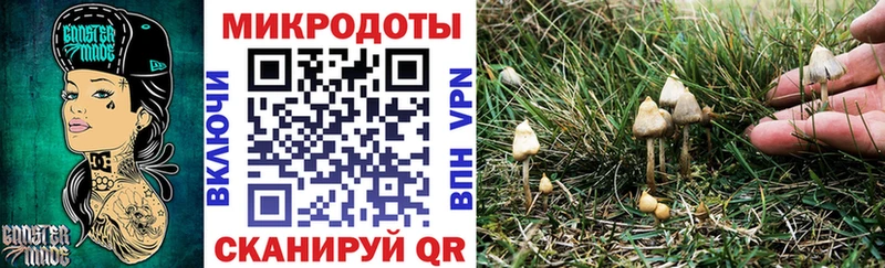 Псилоцибиновые грибы Cubensis  Купить  Цимлянск 
